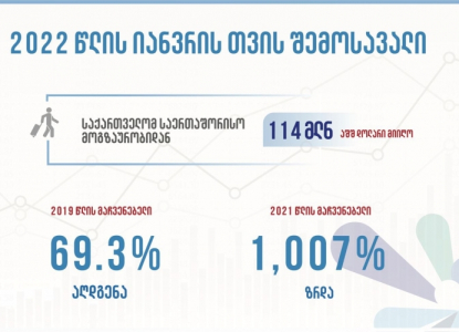 იანვარში საერთაშორისო მოგზაურობიდან საქართველომ 114 მილიონი აშშ. დოლარი მიიღო