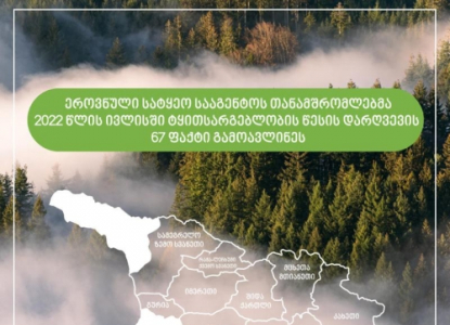 ივლისში, სამცხე-ჯავახეთში ხე-ტყის უკანონო მოპოვების 5 შემთხვევა გამოვლინდა